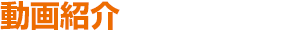 動画紹介